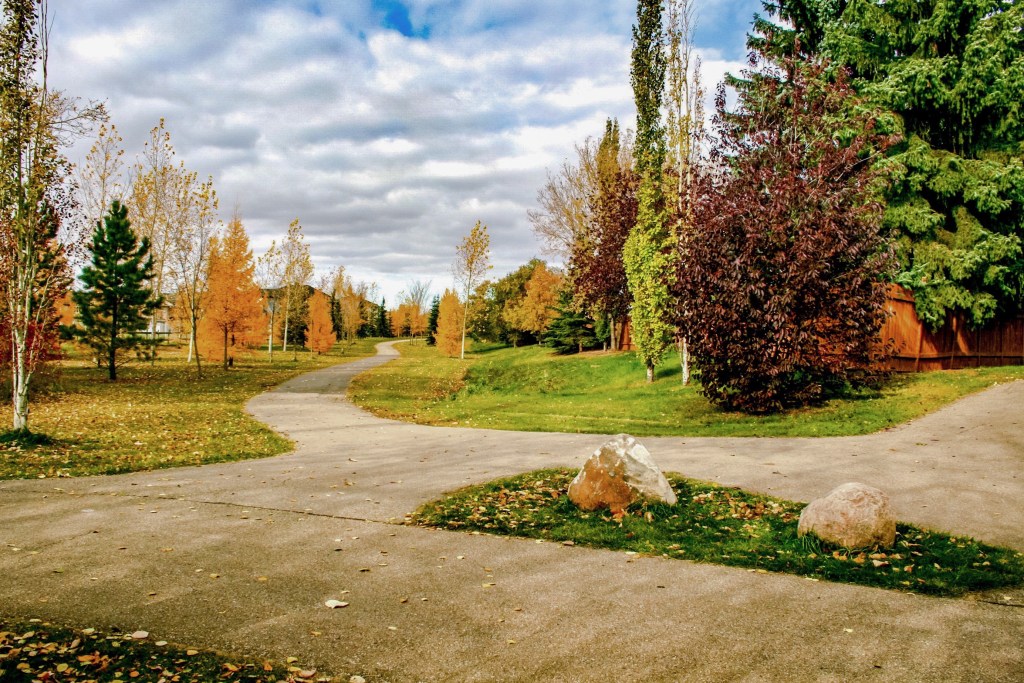 An autumn photo of three park paths connected